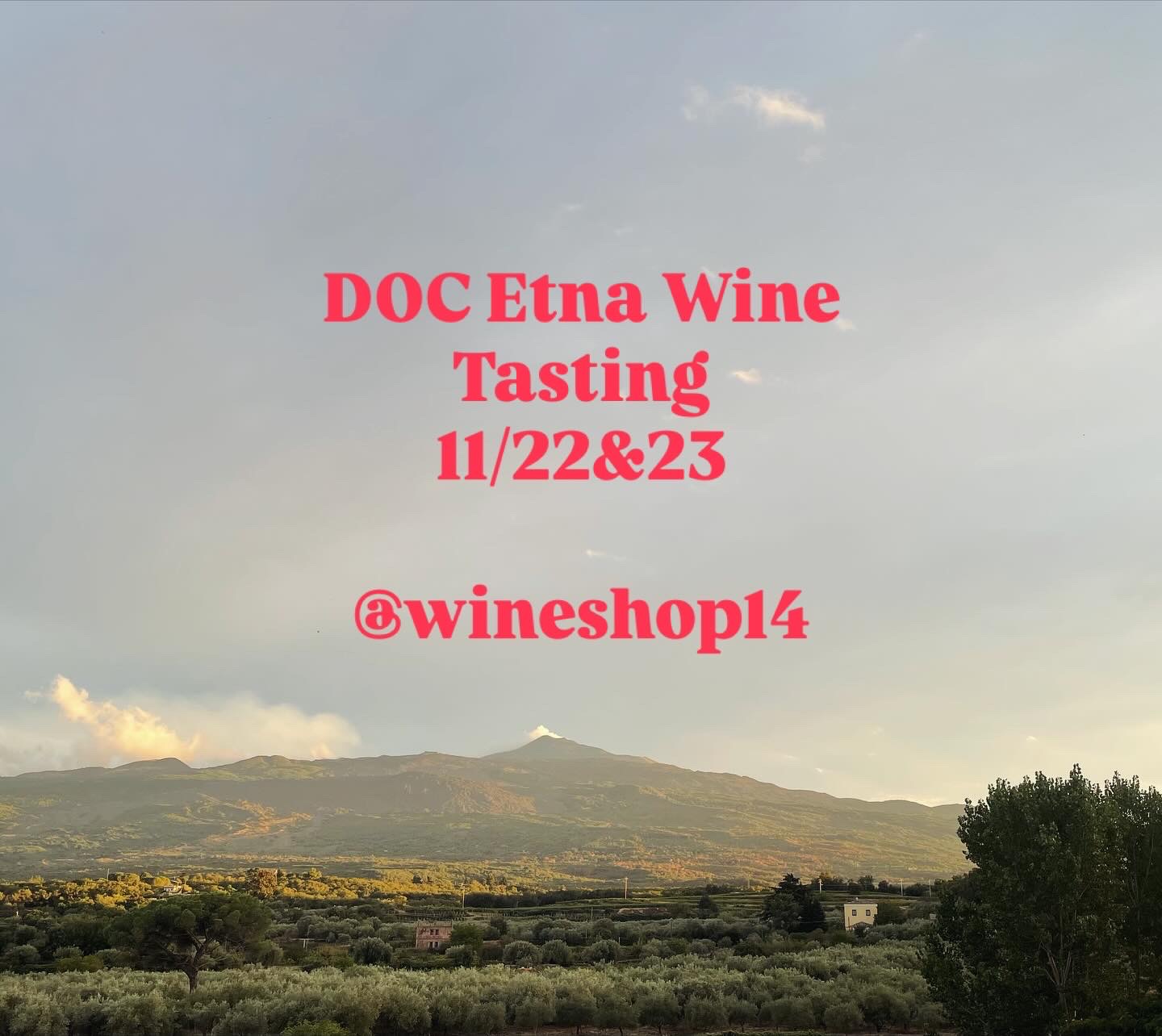 活火山エトナワインの会を開催致します！11/22(土)＆23(日)